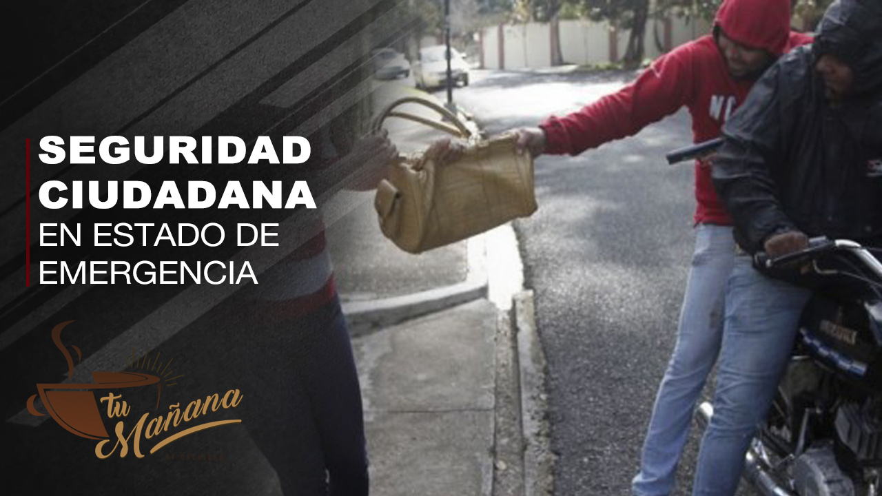 Federico Castillo Demos Declara La Seguridad Ciudadana En Estado De Emergencia