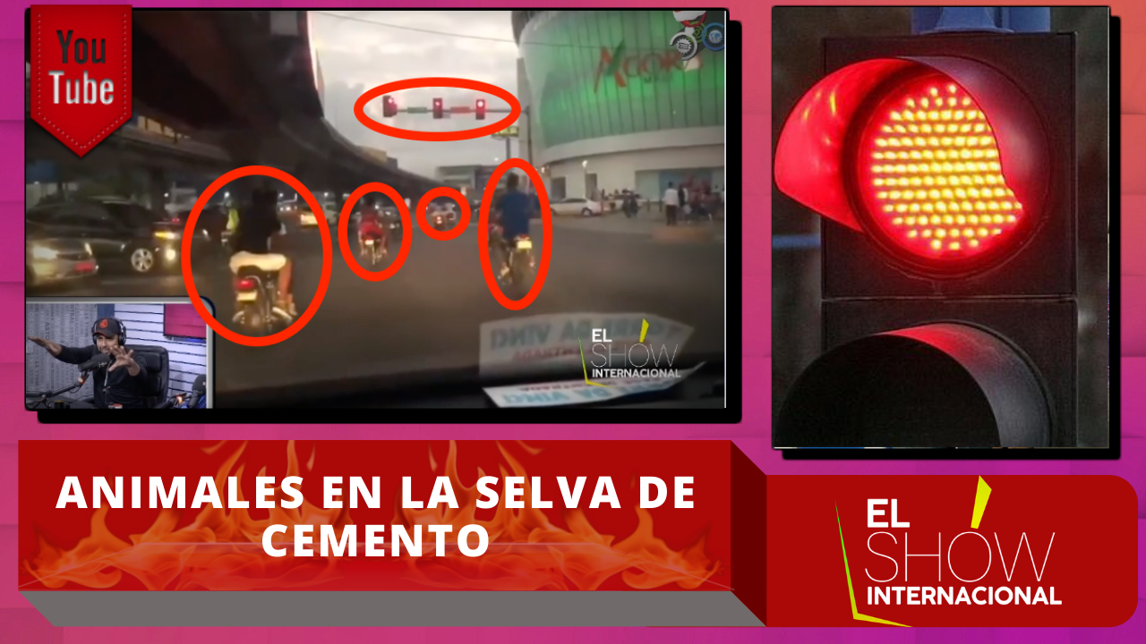 No Creerás Lo Que Hacen Este Grupo De Motoristas A Plena Luz Del Día