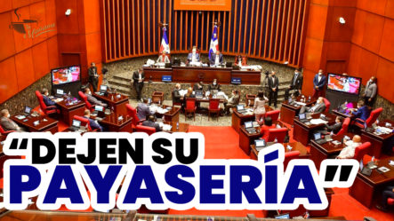 A Los Senadores: “Pónganse A Trabajar Y Dejen La Payasería”, Dice Edhoarda Andujar