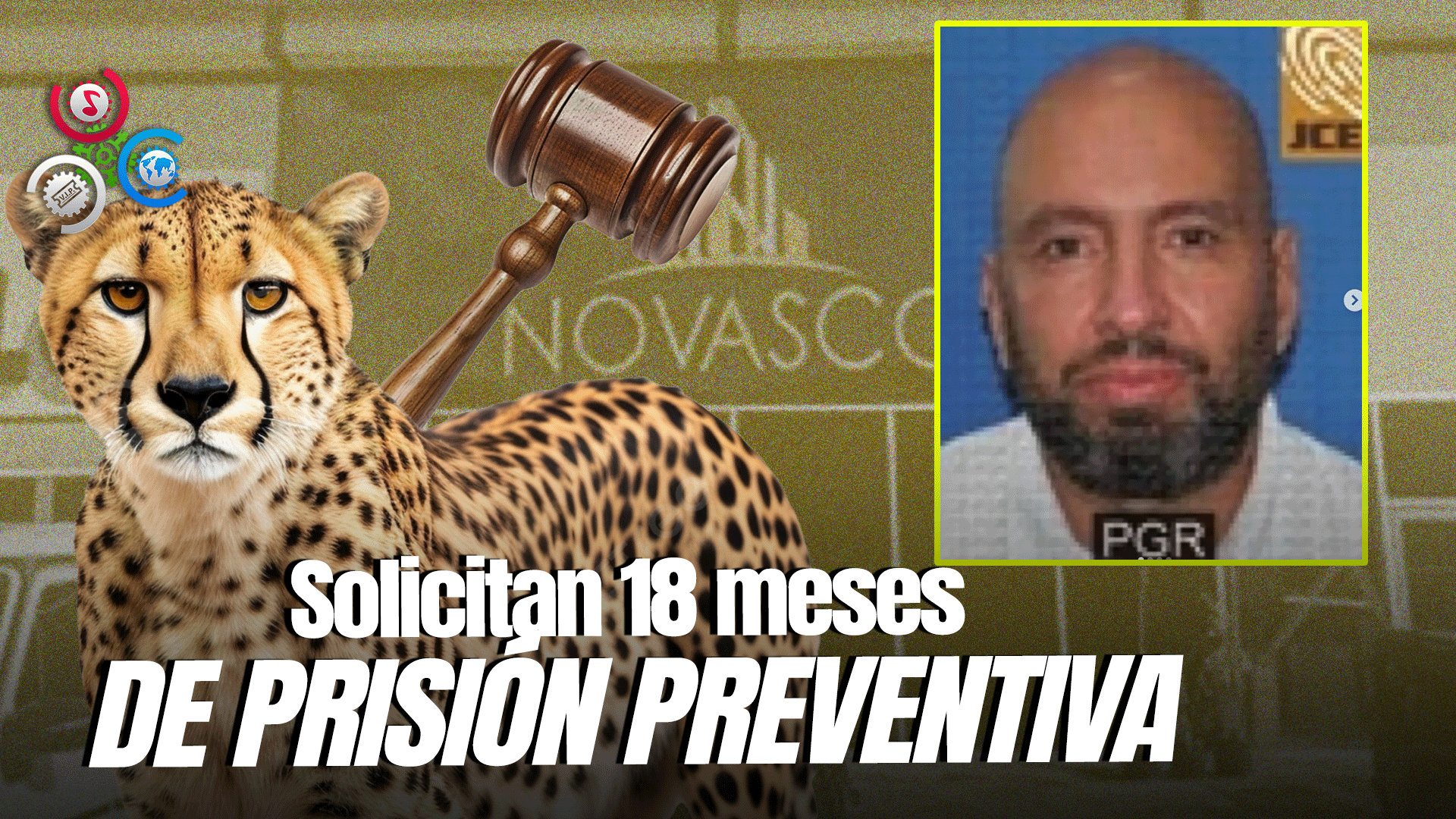 MP Pide Medida De Coerción Contra Yves Alexandre, Implicado En Caso Guepardo