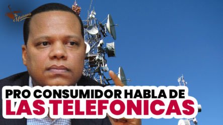 Director De Pro Consumidor Habla Sobre Las Telefónicas Dominicanas