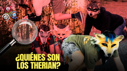Jóvenes Que “se Sienten Animales”: La Subcultura Therian Conquista Las Redes Sociales Y Preocupa A Sectores