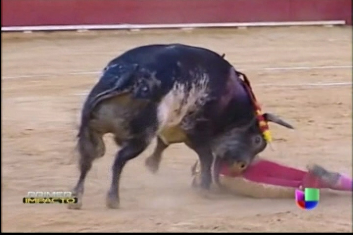 Torero Muere Tras Brutal Embestida Taurina