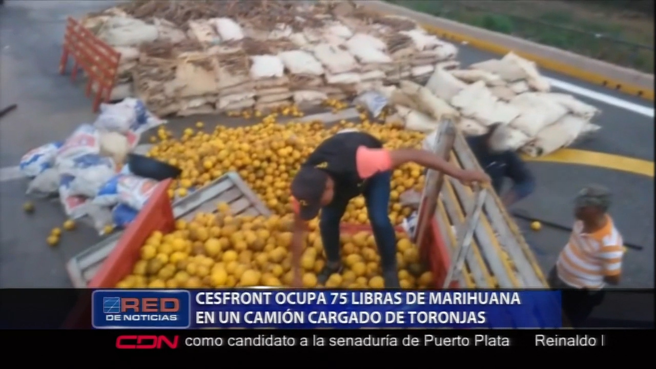 Unidades De CESFRONT Ocupan 75 Libras De Marihuana En Un Camión Cargado De Toronjas