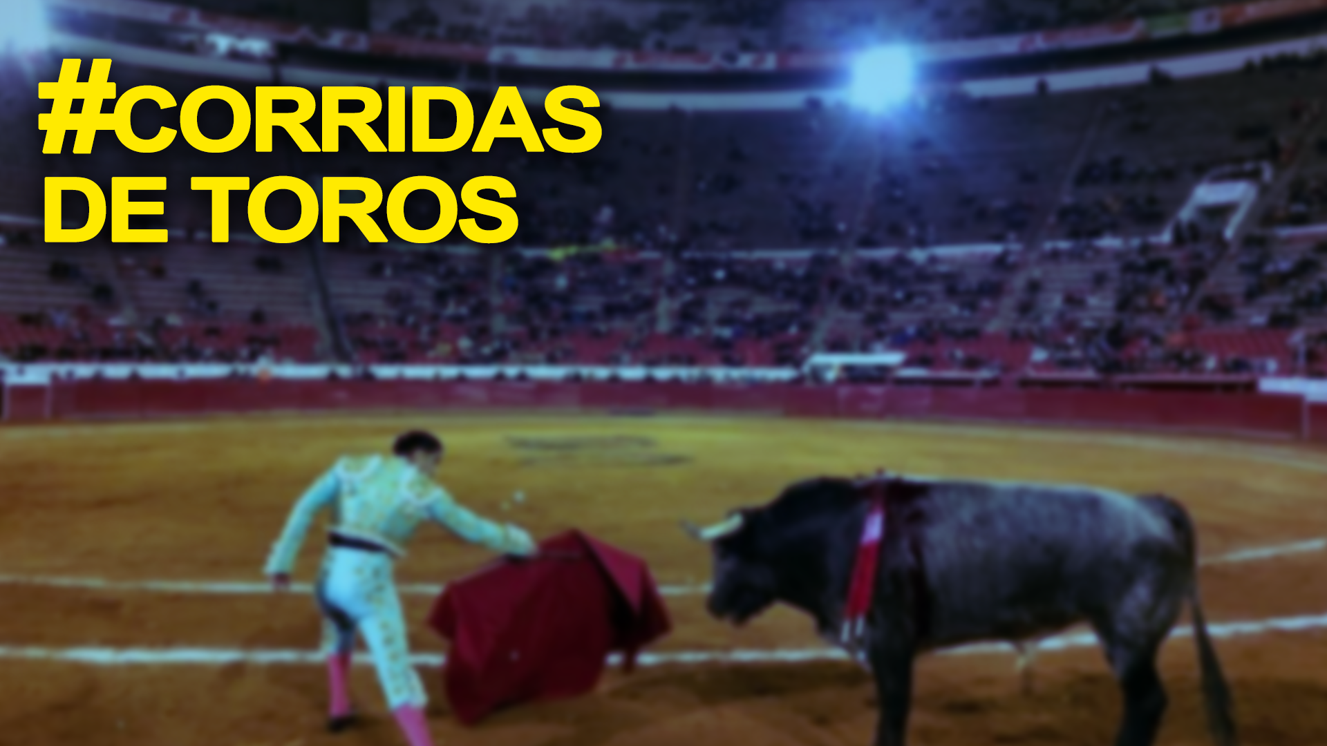 Autorizan Nuevamente Corridas De Toros En Ciudad De México | Noticias Telemundo