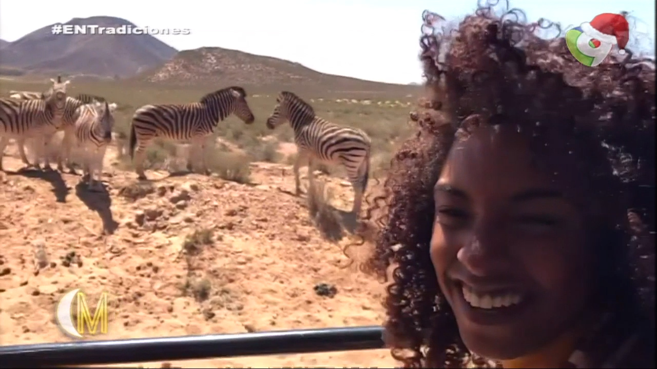En Tradiciones Con Yaritza Reyes Desde Sudáfrica En Safari