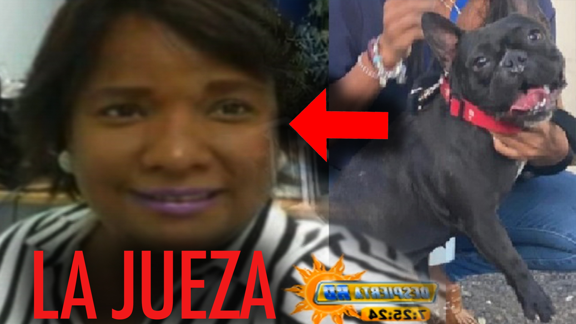 Jueza Desestima Querella En Contra De Quien Golpeó A “Trufa” Mira Las Razones