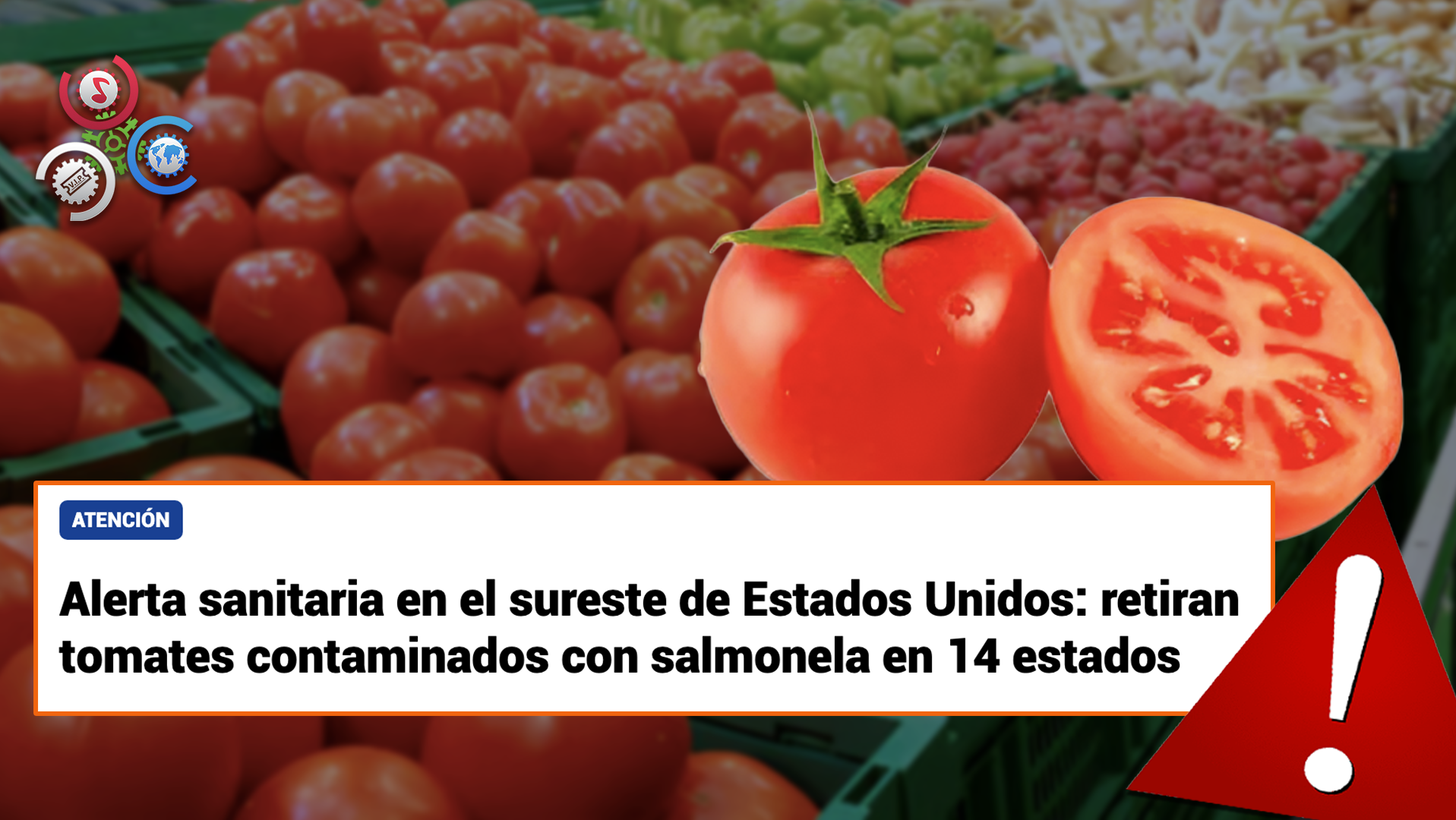 FDA Ordena Retiro De Tomates Por Posible Contaminación Con Salmonela En 14 Estados De EE.UU.