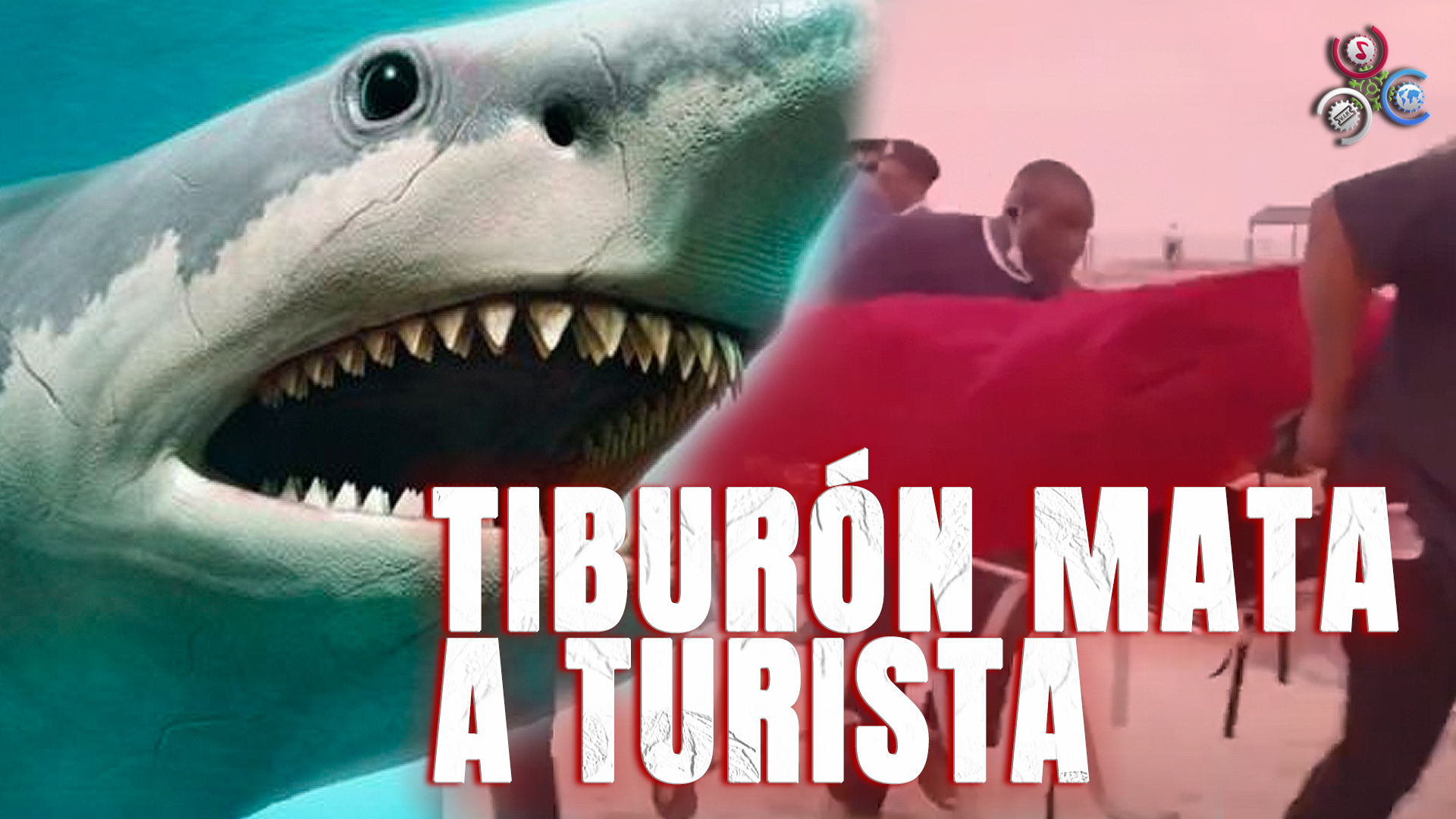 Tiburón MATA A Turista Estadunidense En Las Bahamas