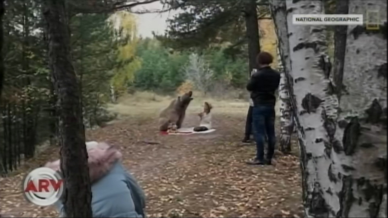 El Lado Oscuro Del Turismo Con Animales Exóticos