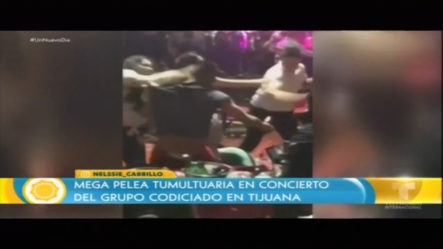 Mega Pelea Tumultuaria En Concierto Del Grupo Codiciado En Tijuana