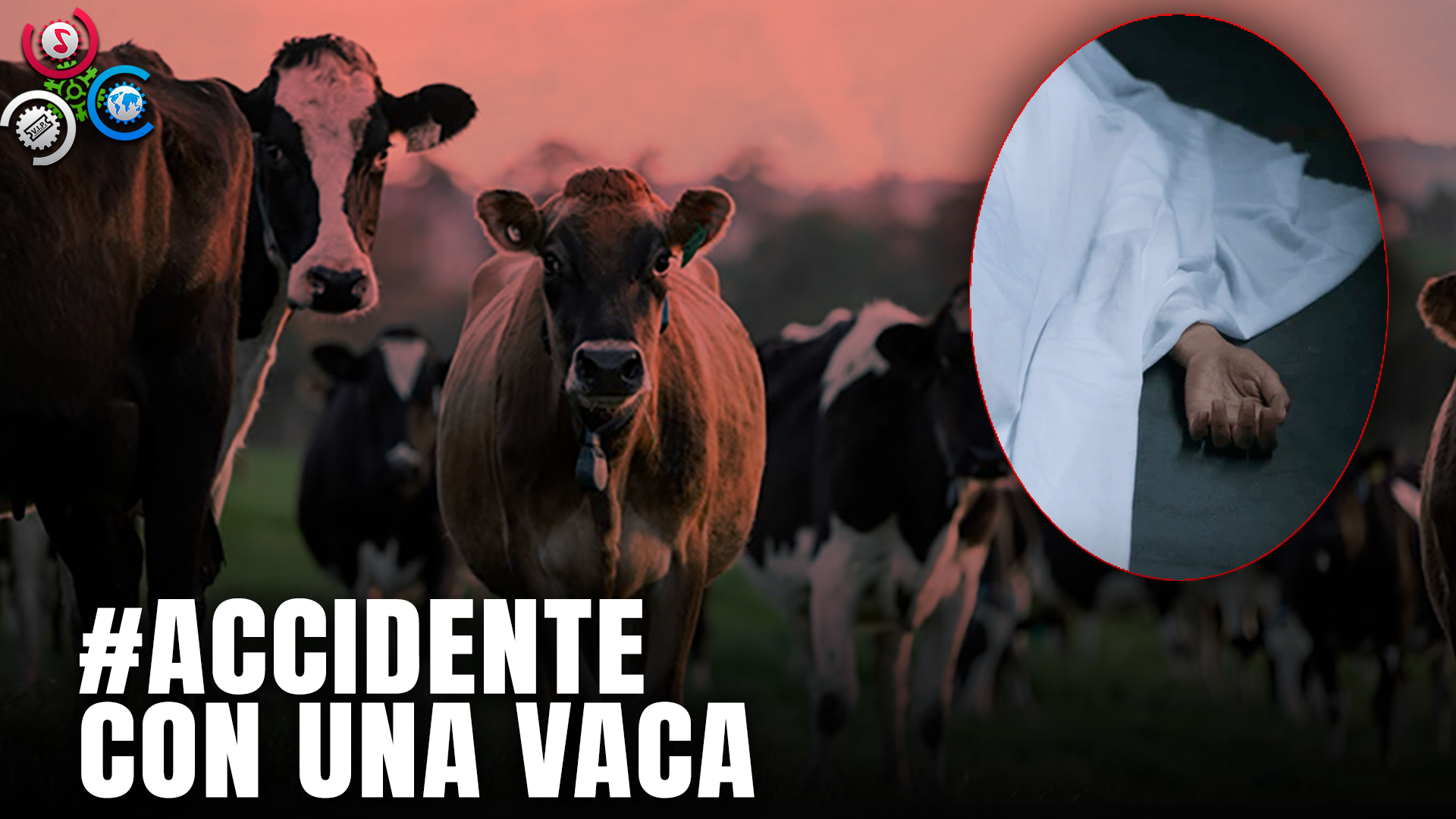 Muere Joven De 19 Años Al Chocar Pasola Con Una Vaca En Hato Mayor