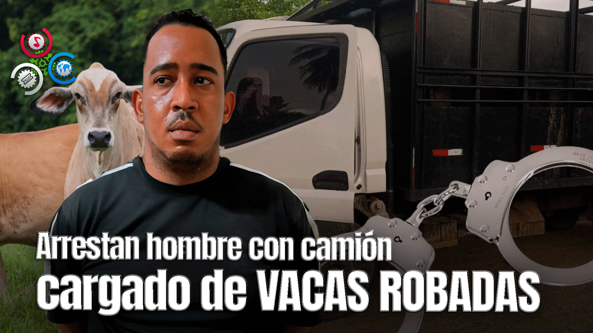 PN Apresa Hombre Que Trasladaba Vacas Robadas De Una Finca En Hato Mayor