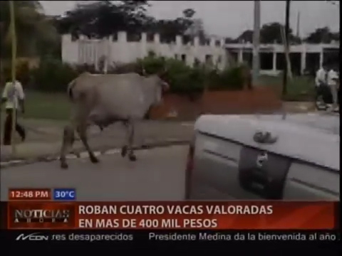Roban Cuatro Vacas Valoradas En Más De 400 Mil Pesos