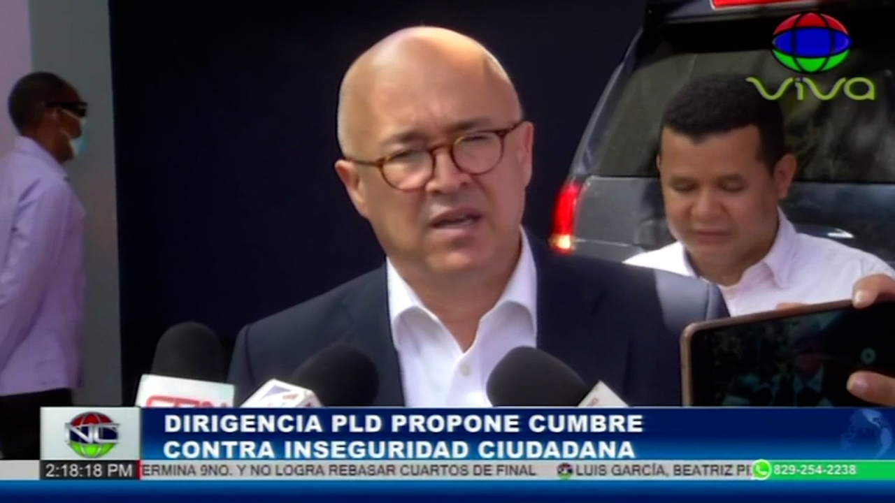 Dirigentes Del PLD Proponen Una Cumbre Contra La Inseguridad Ciudadana
