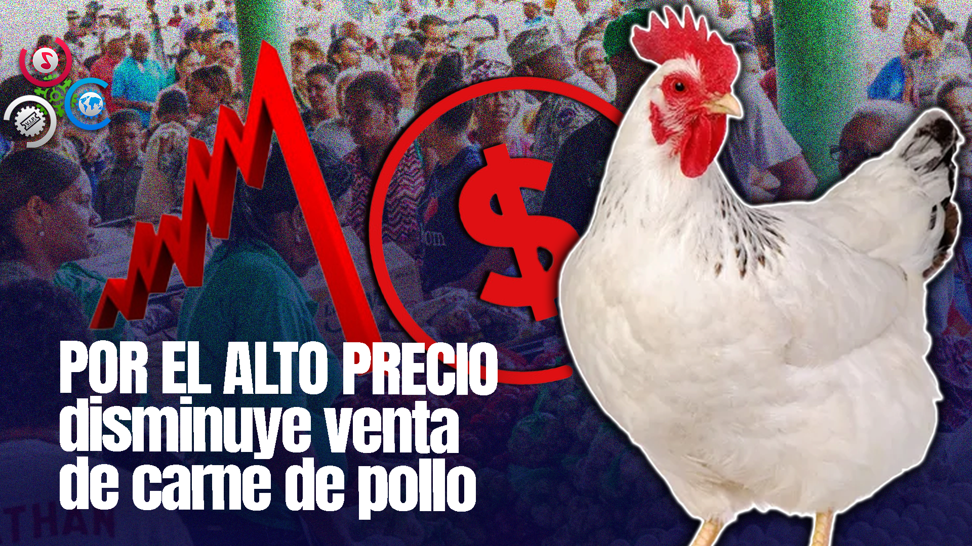 Inespre Organizara Mercados Productores Para Contrarrestar Escasez Y Altos Precios Del Pollo