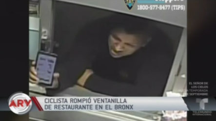 Ciclista Rompió Ventanilla De Restaurante En El Bronx
