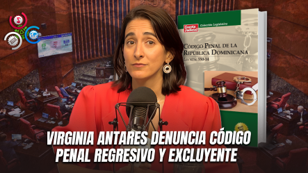 Virginia Antares: “Este Código Penal Silencia, Desampara Y Censura”