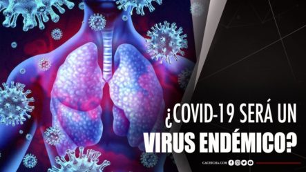 Coronavirus: ¿puede El Covid-19 Convertirse En Un Virus Endémico?