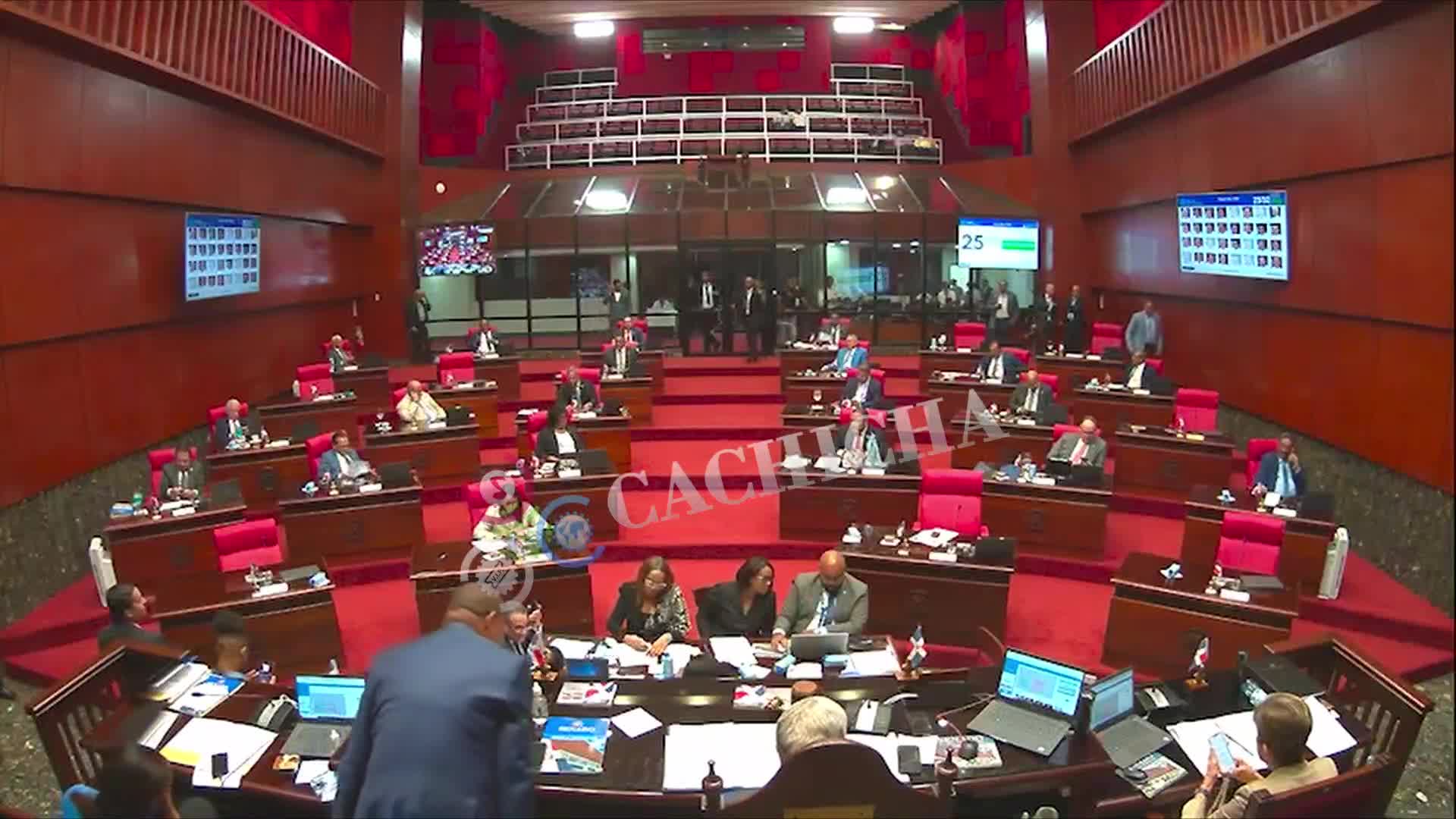 Califican Como “preocupante” la Entrega De Visas Dominicanas a 27 Mil Haitianos En 60 Días  