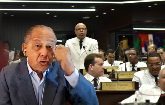 Huchi Lora Explica Cómo Es Que Se Eligen Los Diputados