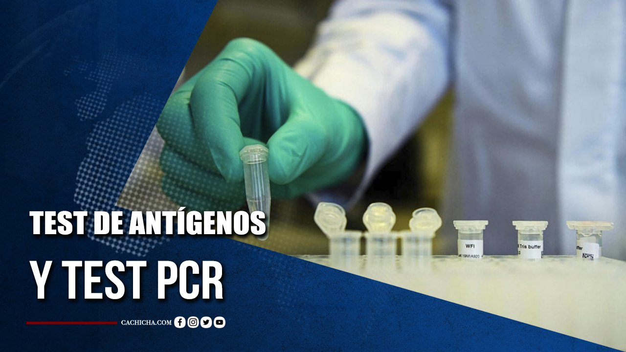 Diferencias Entre Un Test De Antígenos Y Una Pcr Test de antígenos: qué es y en qué se diferencia de los test PCR