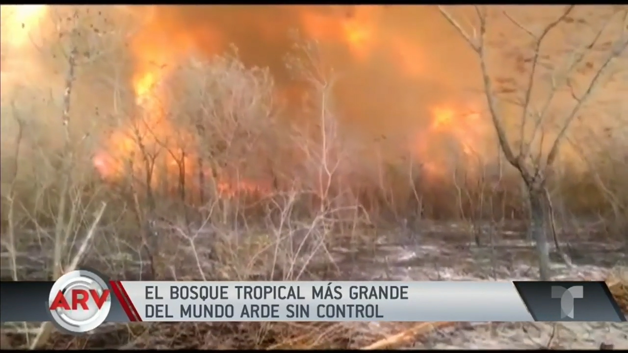 Avanzan Los Incendios En El Amazonas Y Se Evidencia Conflicto Con Las Tribus