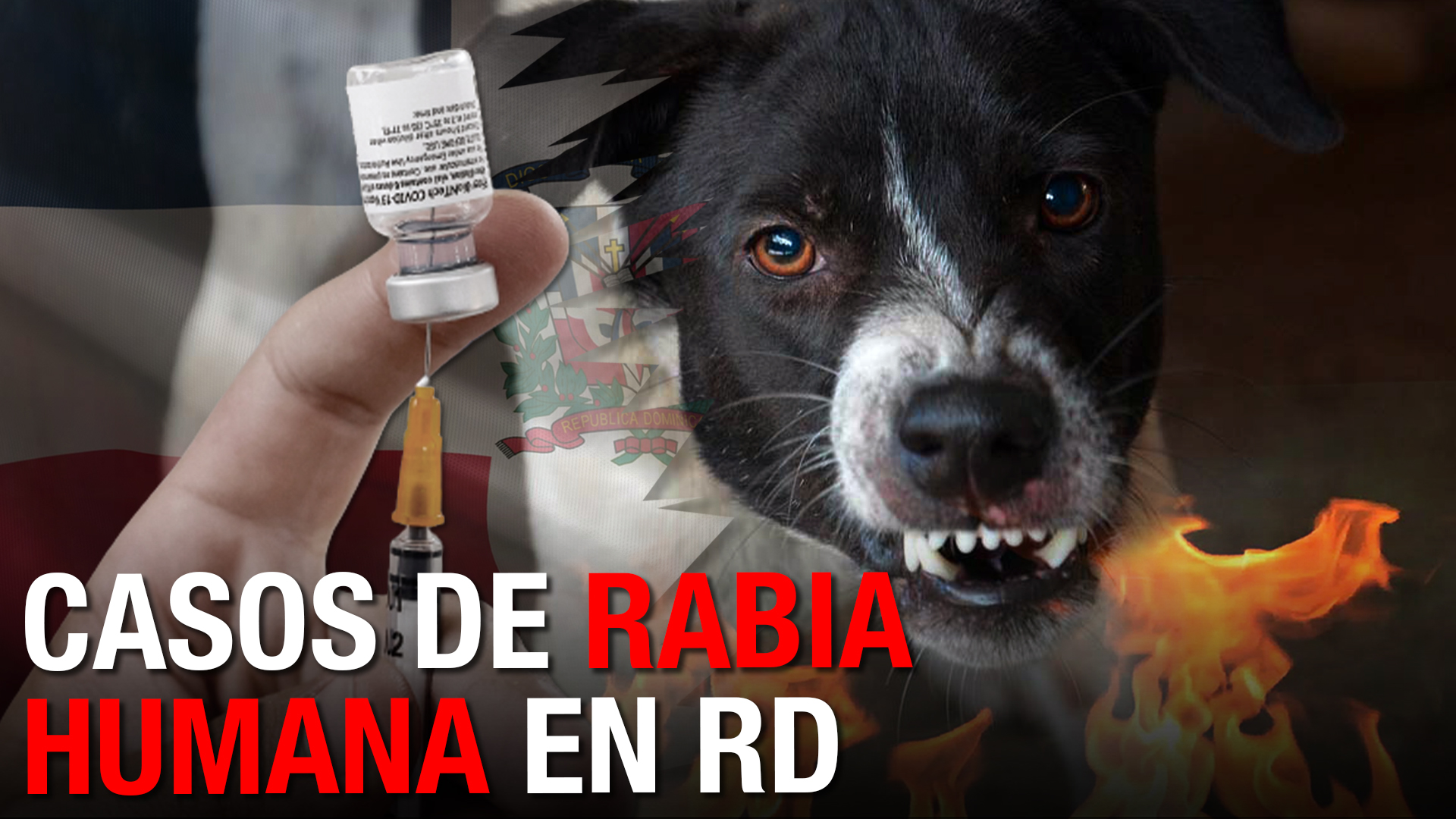 ¡Casos De Rabia Humana Reportados En RD!