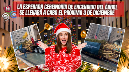 ¡El árbol De Navidad Del Rockefeller Center 2025 Ya Llegó A Nueva York!
