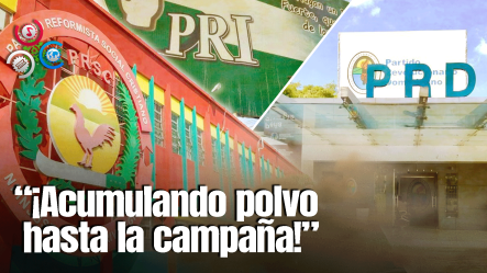 ¿A Qué Se Dedican Los Partidos Minoritarios Cuando No Están En Campaña? ¡Descúbrelo!