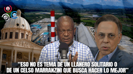 ¿Debería Volver Punta Catalina Al Manejo Y Mantenimiento De Una Empresa Extranjera?