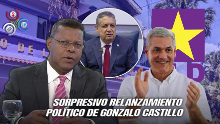 ¡Gonzalo Castillo Vuelve Pal’ PLD!: ¿Regreso Calculado O Movimiento Apresurado?