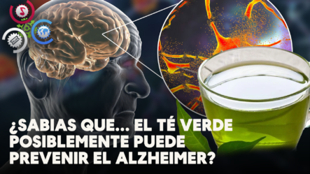 ¿Sabias Que… El Té Verde Posiblemente Puede Prevenir El Alzheimer?
